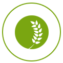 100% Organic